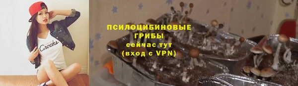 СК Аркадак