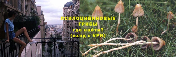 твердый Арсеньев