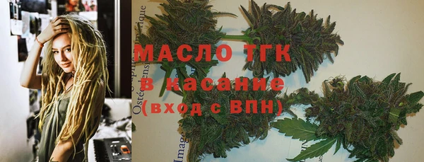 твердый Арсеньев