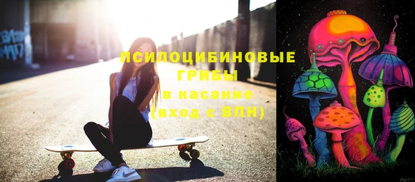 твердый Арсеньев