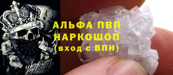 СК Аркадак