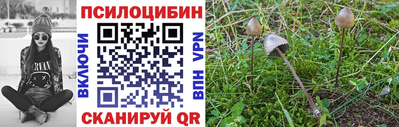 Галлюциногенные грибы ЛСД Чернушка
