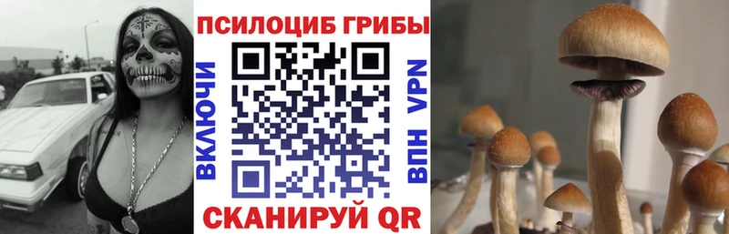 Псилоцибиновые грибы ЛСД  Чернушка 